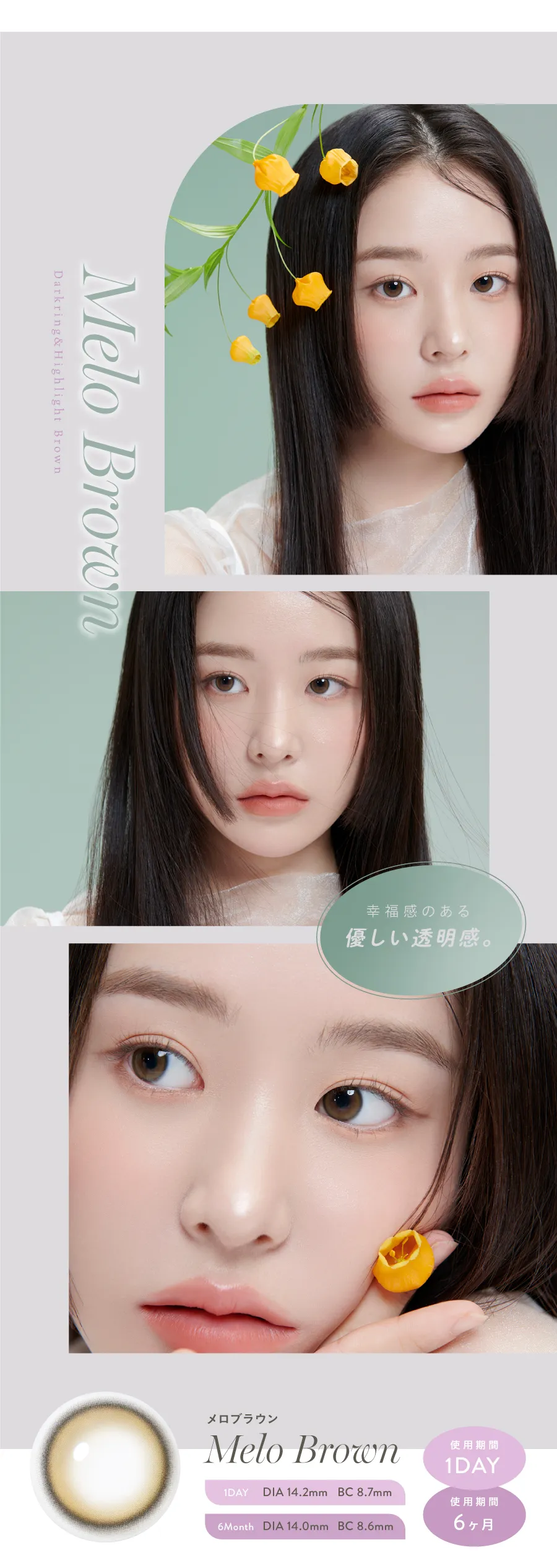 最長6ヶ月使用の韓国カラコン「eyeis（アイズ）」のメロブラウン。どんな瞳のカラーでも出しゃばりすぎない、ピュアブラウン。